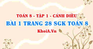 Bài 1 trang 28 SGK Toán 8 tập 1 Cánh Diều